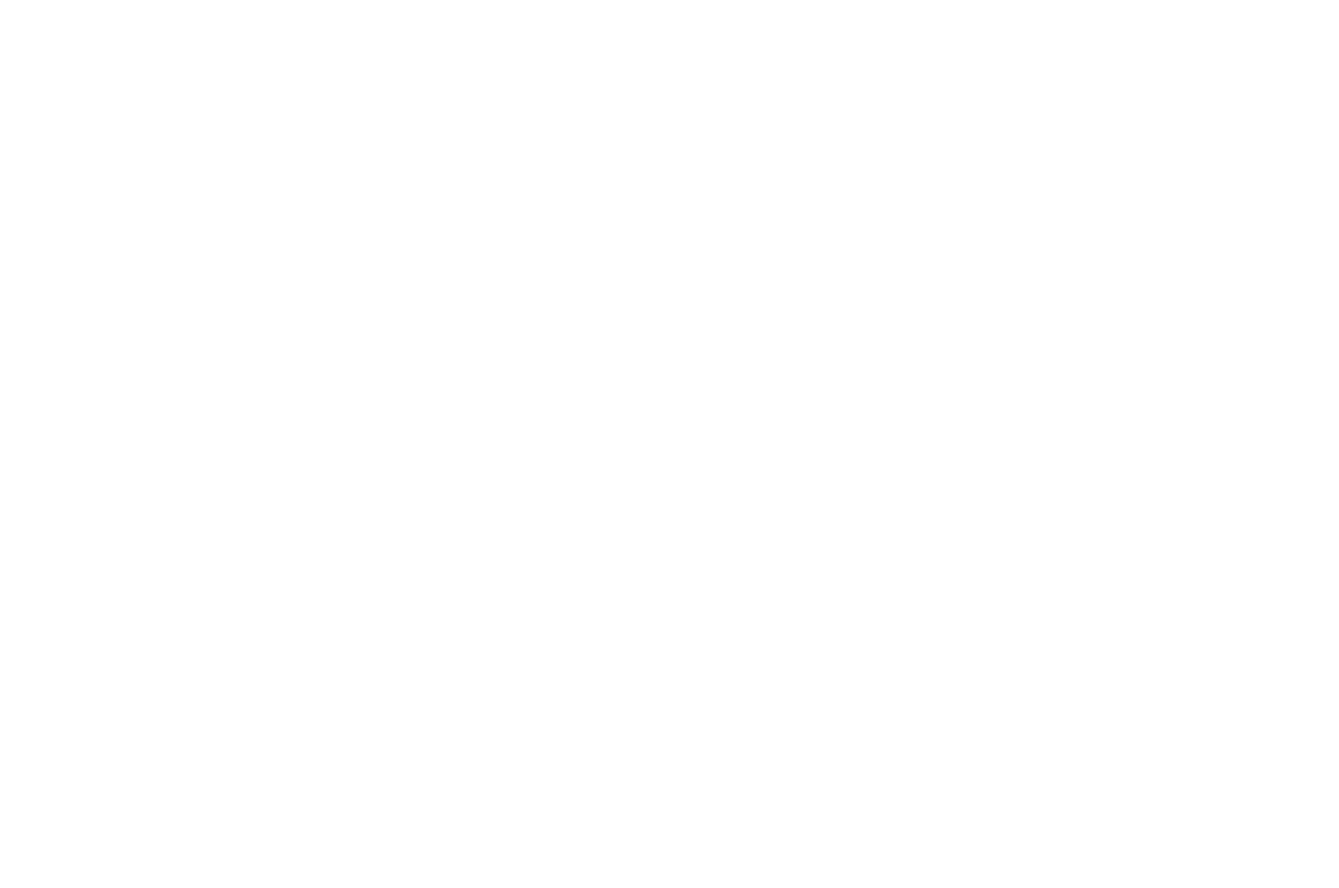 Ink Booster